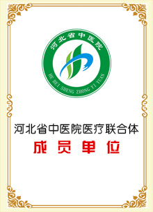 河北省中医院医疗联合体成员单位河北省人民医院脑卒中联盟成员单位