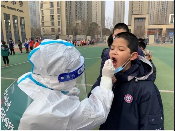 核酸咽拭子采集及血清采集